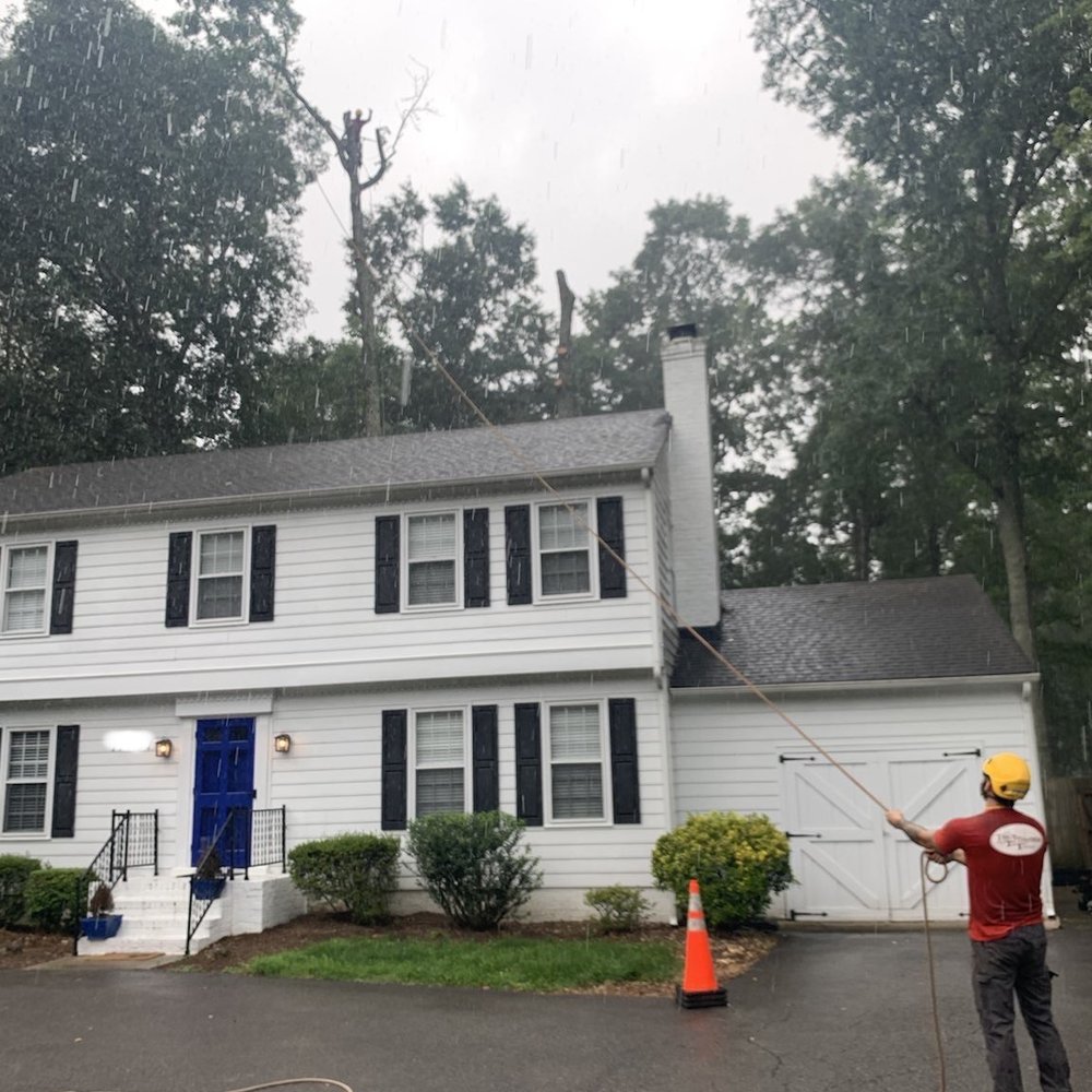 Truetimber Arborists - Tree Services Near Me - Richmond, Virginia Truetimber Arborists - Tree Services Near Me - Richmond, Virginia