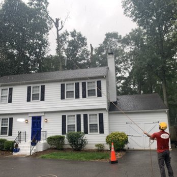 Truetimber Arborists - Tree Services Near Me - Richmond, Virginia Truetimber Arborists - Tree Services Near Me - Richmond, Virginia