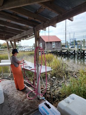 Abundant Seafood by null