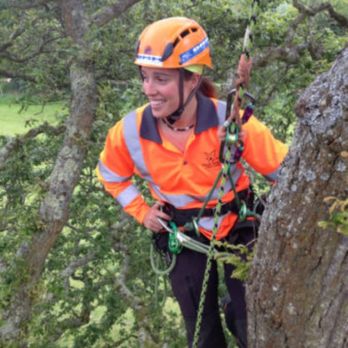 The Monkey's Tree Service - Tree Services Near Me The Monkey's Tree Service - Tree Services Near Me