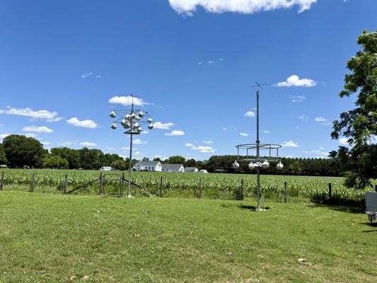 A Secret Garden Winery by null