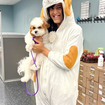 Pinku & Paws - #PinkuandPaws #DogTraining Shoshi and I matched for #Halloween but the #connection we had went beyond appearances! - Pet Training Near Me - Paramus, New Jersey Pinku & Paws - #PinkuandPaws #DogTraining Shoshi and I matched for #Halloween but the #connection we had went beyond appearances! - Pet Training Near Me - Paramus, New Jersey