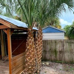 A+Trees & Stump Grinding