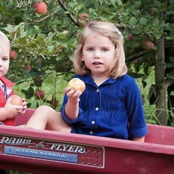 Bearwallow Valley Farms - Picking apples