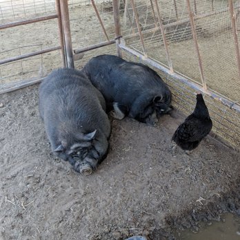 Superstition Farm - Farmers Market Near Me - Mesa, Arizona