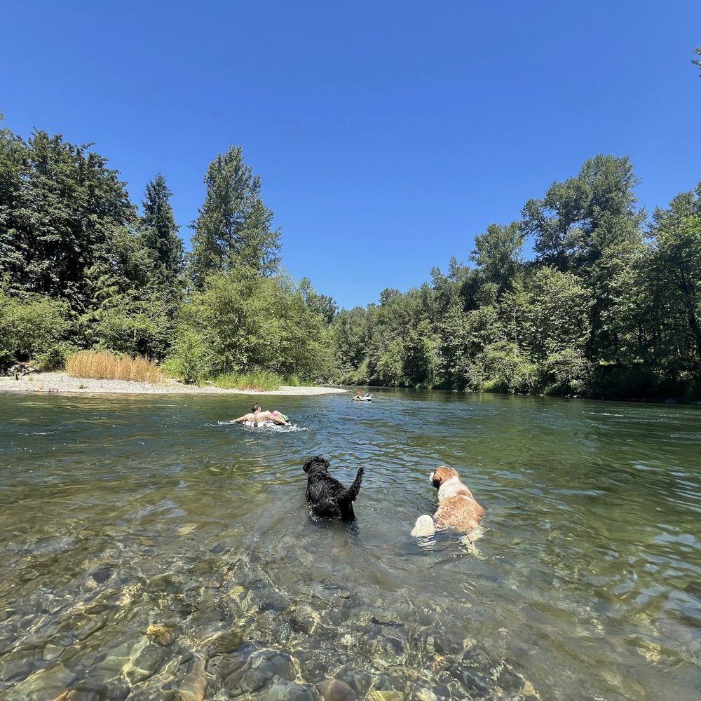 K9 Trail Trotter & Training Services - Pet Training Near Me - Tacoma, Washington K9 Trail Trotter & Training Services - Pet Training Near Me - Tacoma, Washington