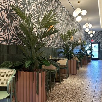 Sampaguita - Ice Cream & Frozen Yogurt Near Me - Orlando, Florida Sampaguita - Ice Cream & Frozen Yogurt Near Me - Orlando, Florida