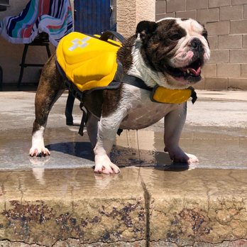North Paws Ranch - Loves doggy daycare - Pet Boarding Near Me North Paws Ranch - Loves doggy daycare - Pet Boarding Near Me