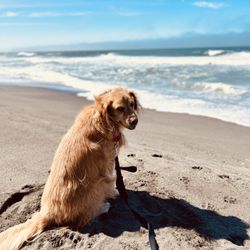Centerville Beach