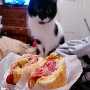 Potbelly - Skunky Monkey must think it's called Pawbelly because she always puts her dirty littery paws all over it and so it ends up in her belly - Sandwiches Near Me - Houston, Texas