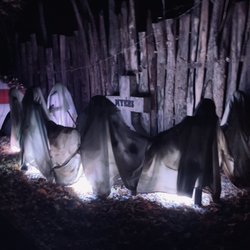 Nightmare Forest