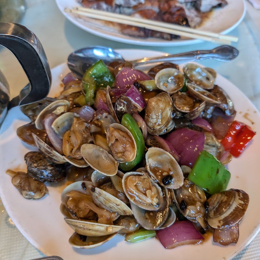 Grand Cafe - Clam with black bean sauce - Cafes Near Me - Dublin, California Grand Cafe - Clam with black bean sauce - Cafes Near Me - Dublin, California