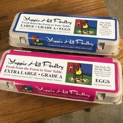 Yuppie Hill Poultry