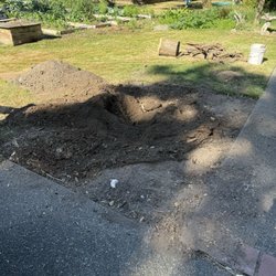 Doctor Stump Grinder - No more stump!