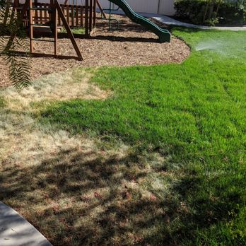 GLS Landscape and Maintenance - Landscaping Near Me - Rialto, California GLS Landscape and Maintenance - Landscaping Near Me - Rialto, California