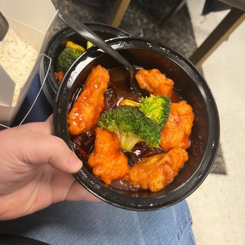 Han Dynasty - $16 General Tso's Chicken - Chinese Near Me - Exton, Pennsylvania