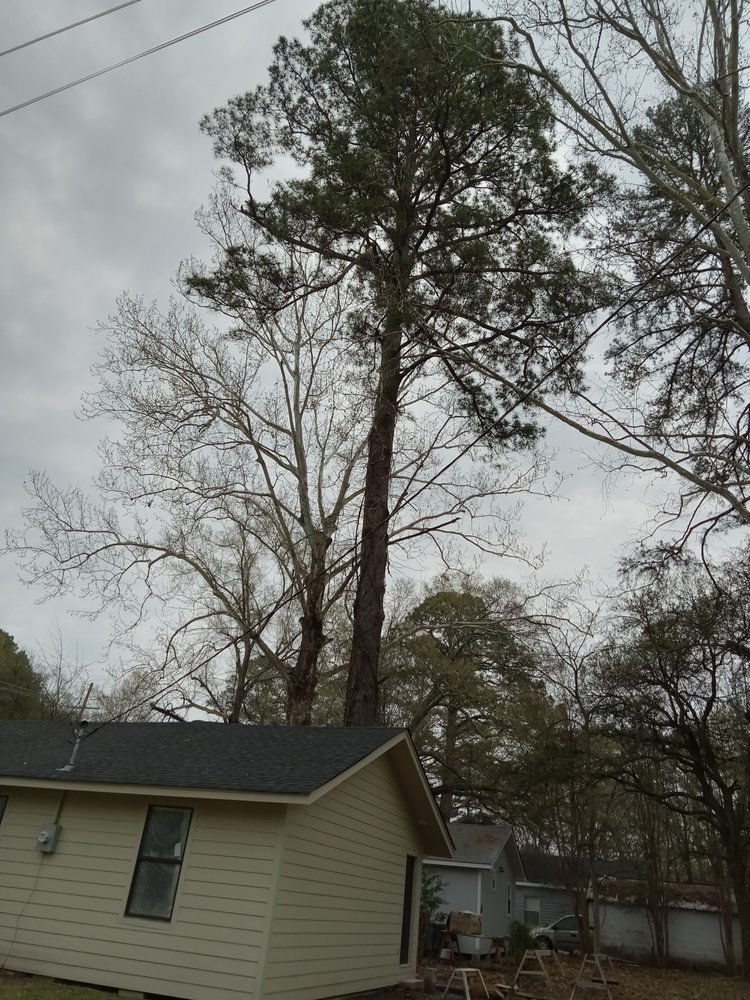 DALTON JINKS SERVICES Updated August 2024 Request a Quote Farmerville, Louisiana Roofing