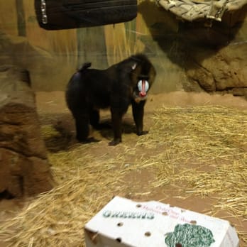 Potter Park Zoo - Zoos Near Me - Lansing, Michigan Potter Park Zoo - Zoos Near Me - Lansing, Michigan