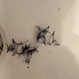 The lashes that fell out from my right eyelid less than an hour after Ana put them on. The lashes that fell out from my right eyelid less than an hour after Ana put them on.