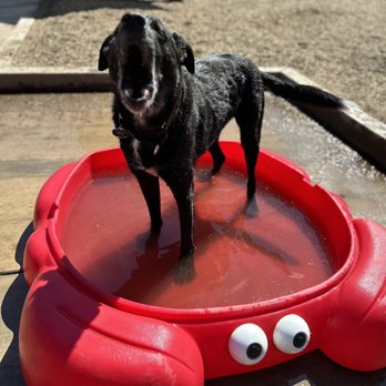 Rruff Healing Heroes - Dog Parks Near Me - Rocklin, California Rruff Healing Heroes - Dog Parks Near Me - Rocklin, California