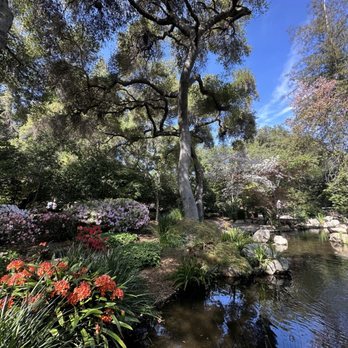 Descanso Gardens - Botanical Gardens Near Me - La Canada Flintridge, California Descanso Gardens - Botanical Gardens Near Me - La Canada Flintridge, California