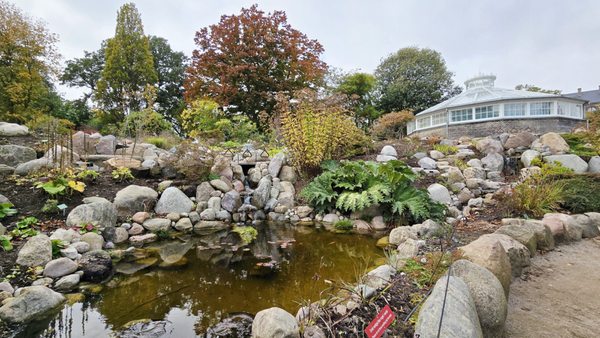 Botanical Garden by null Botanical Garden by null