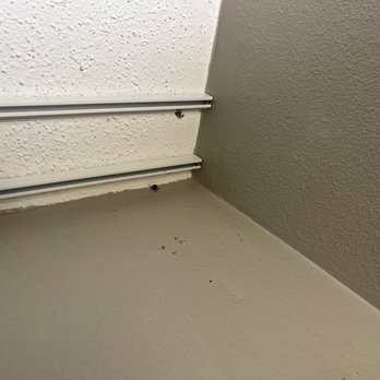 Quality Inn - Stink bug friends - Hotels Near Me - Rochester, Indiana Quality Inn - Stink bug friends - Hotels Near Me - Rochester, Indiana