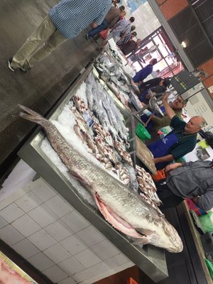 Mercados de Olhão by null