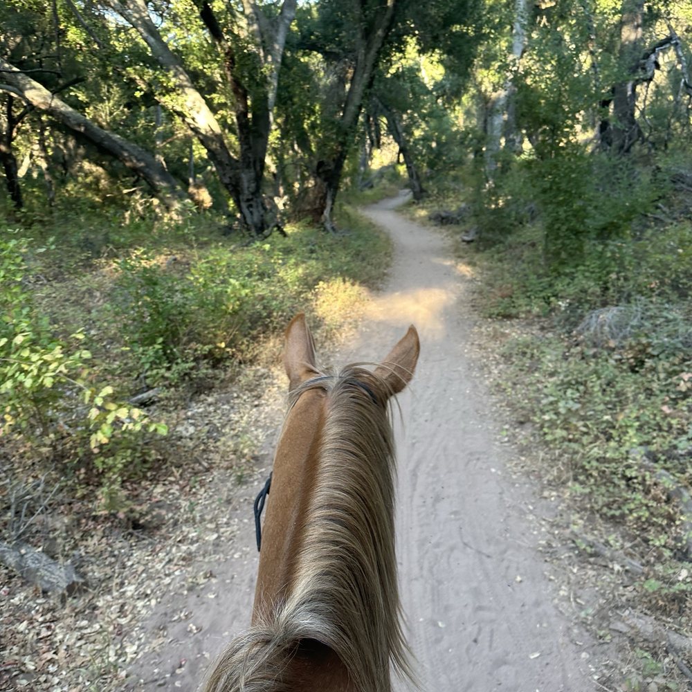 Equine Xscape - Beautiful scenery. - Horseback Riding Near Me - Ojai, California