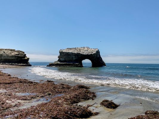 Natural Bridges State Beach by null