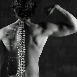 White Chiropractic