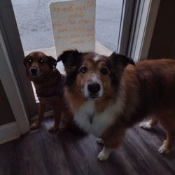 Amie O'Rourke's MuddyPawz Dog Grooming - Nissa and Loki