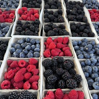Irvine Farmers Market - Fruit - Farmers Market Near Me - Irvine, California Irvine Farmers Market - Fruit - Farmers Market Near Me - Irvine, California