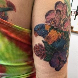 Rainbow lorikeet from Australia Rainbow lorikeet from Australia