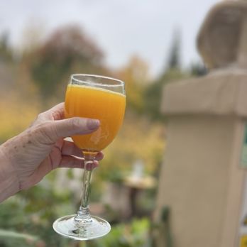 Jardines Alberto - Freshlt squeezed Orange juice - Spanish Near Me - Granada, GR