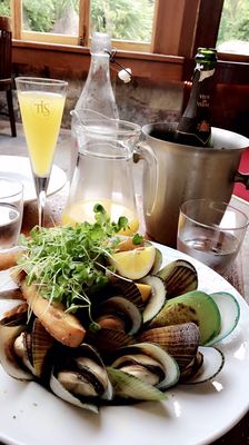 The Lost Spring by null