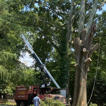 Randan Tree Service - Tree Services Near Me Randan Tree Service - Tree Services Near Me
