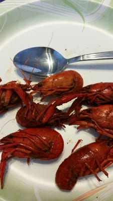 Crazy Cajun by null