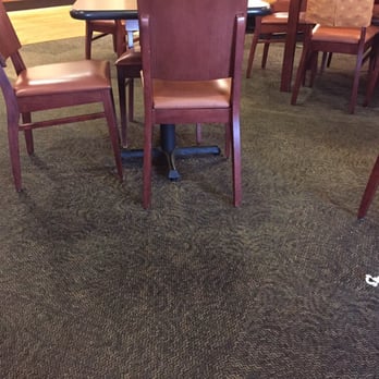 St. Louis Bread - Picture doesn't do justice with the crumbs, but the floor was not clean. - Sandwiches Near Me - Maryland Heights, Missouri