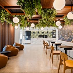 Cafe 295