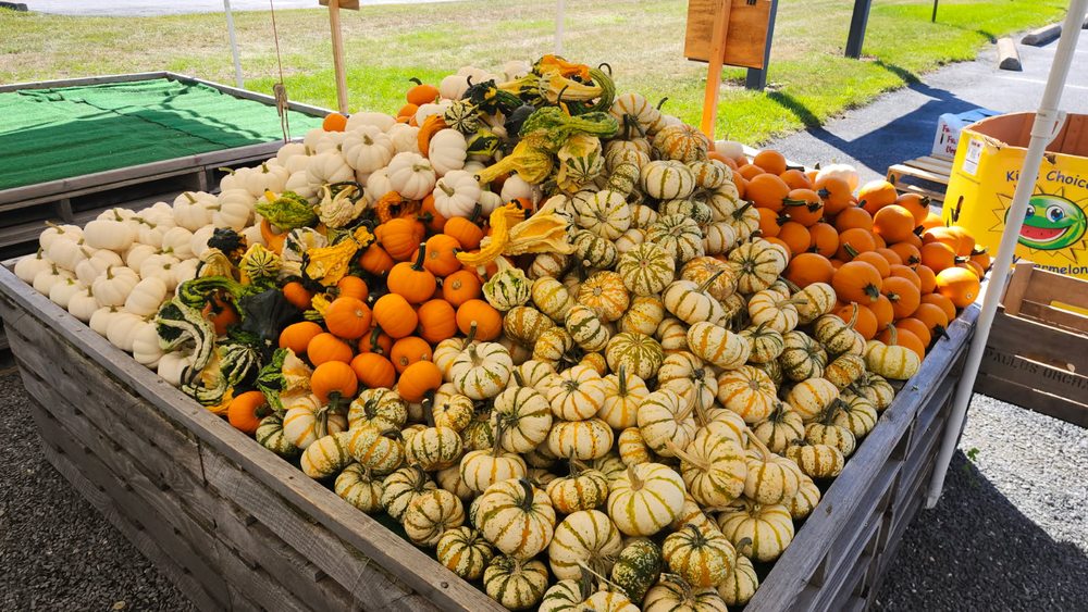 Hershey Farm Market Logo