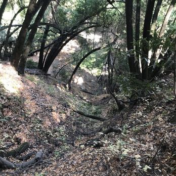 Martin Canyon Creek Trail - Hiking Near Me - Dublin, California