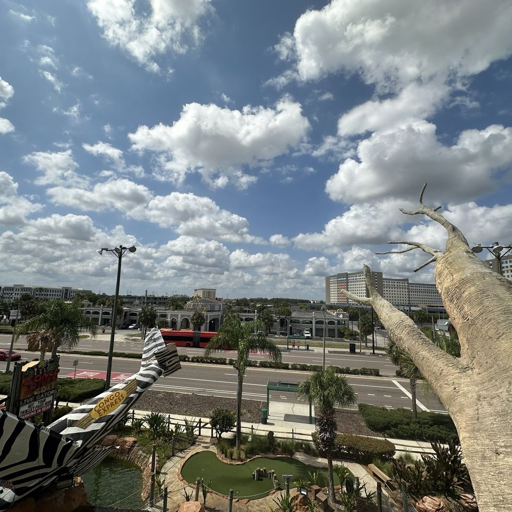 View from the top of mini golf View from the top of mini golf