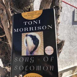 Little Free Library - Sad riveting ending for almost everyone