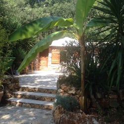 Le Petit Mas de Saint-Paul - L'extérieur du gîte