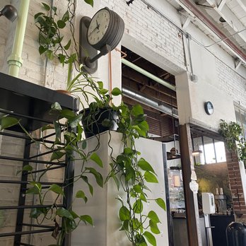 Middle State Coffee - Aesthetically pleasing - Coffee Roasteries Near Me - Denver, Colorado
