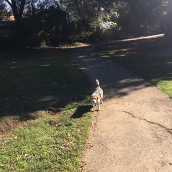 Cipriani Dog Park - Dog Parks Near Me - Belmont, California Cipriani Dog Park - Dog Parks Near Me - Belmont, California