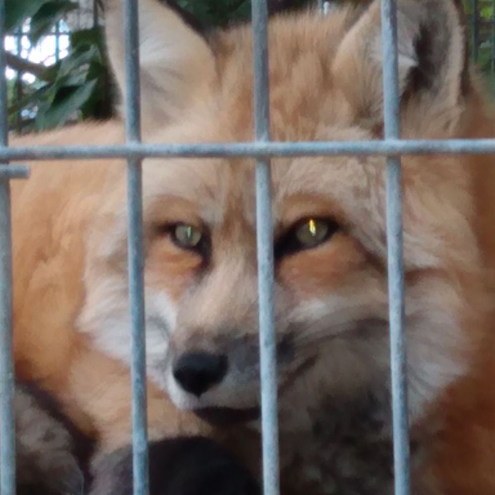 Shalom Wildlife Sanctuary - Parks Near Me - West Bend, Wisconsin
