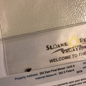 Sloane Realty Vacations - Vacation Rental Agents Near Me - Ocean Isle Beach, North Carolina Sloane Realty Vacations - Vacation Rental Agents Near Me - Ocean Isle Beach, North Carolina