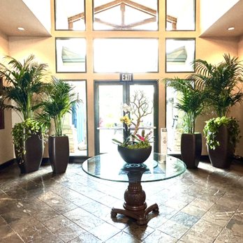 Growing Roots - Beautiful entry plants - Interior Design Near Me - Long Beach, California Growing Roots - Beautiful entry plants - Interior Design Near Me - Long Beach, California